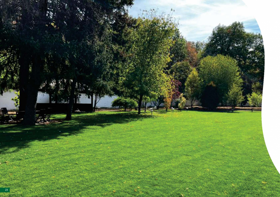 Pagina 24-Catalog - Peisagistica rezidentiala si comerciala ECO GARDEN CONSTRUCT Catalog, brosura Romana 