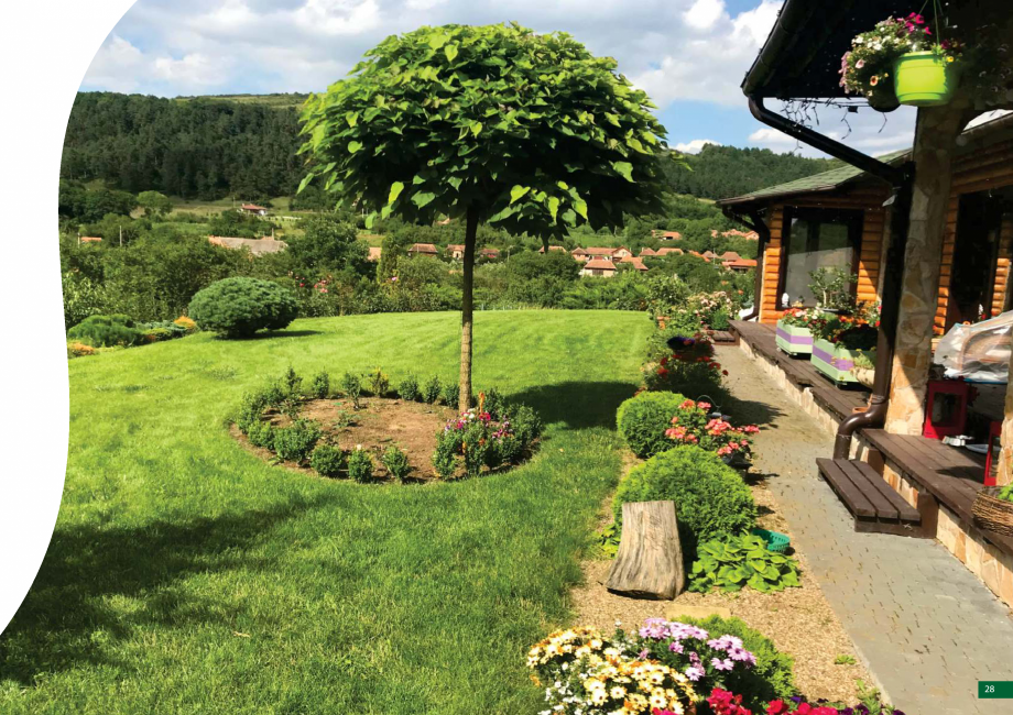 Pagina 29-Catalog - Peisagistica rezidentiala si comerciala ECO GARDEN CONSTRUCT Catalog, brosura Romana 