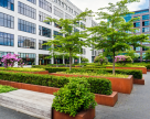 Amenajari gradini si spatii verzi comerciale ECO GARDEN CONSTRUCT