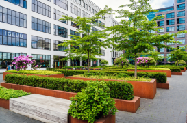 Amenajari gradini si spatii verzi comerciale ECO GARDEN CONSTRUCT