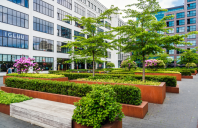 Amenajari gradini si spatii verzi comerciale ECO GARDEN CONSTRUCT