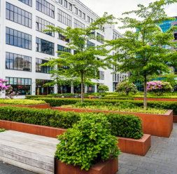 Amenajari gradini si spatii verzi comerciale ECO GARDEN CONSTRUCT