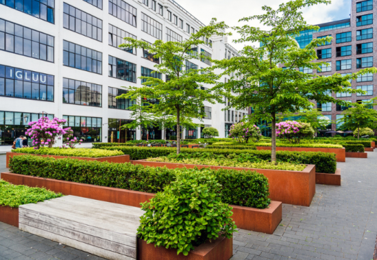 Amenajari gradini si spatii verzi comerciale ECO GARDEN CONSTRUCT
