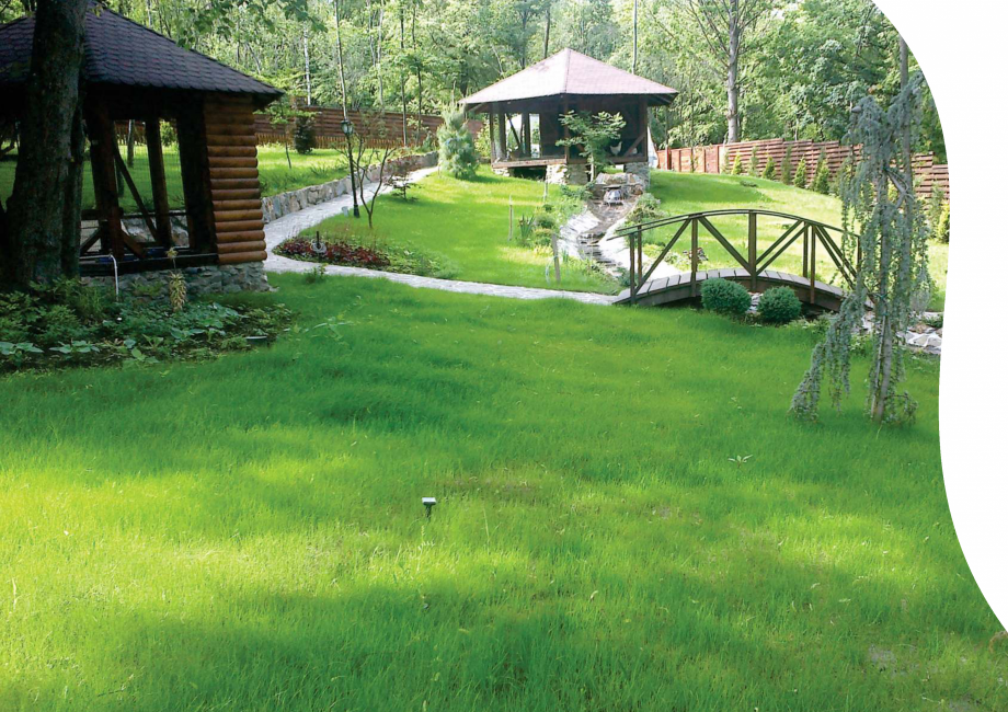 Pagina 4 - Catalog peisagistica rezidentiala si comerciala ECO GARDEN CONSTRUCT Catalog, brosura...