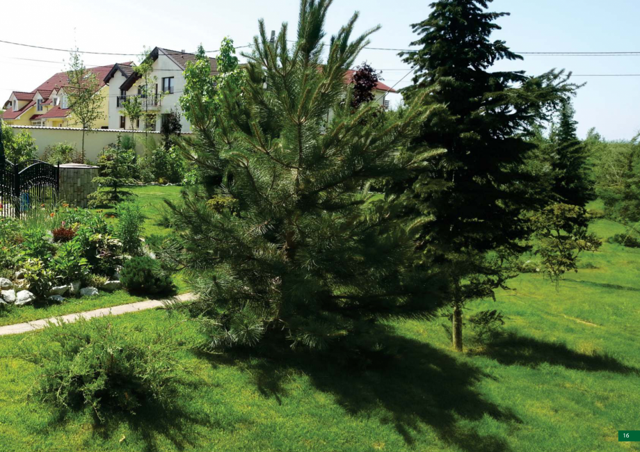 Pagina 17 - Catalog peisagistica rezidentiala si comerciala ECO GARDEN CONSTRUCT Catalog, brosura...