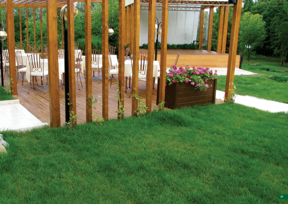 Pagina 21 - Catalog peisagistica rezidentiala si comerciala ECO GARDEN CONSTRUCT Catalog, brosura...