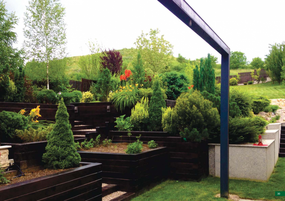 Pagina 31 - Catalog peisagistica rezidentiala si comerciala ECO GARDEN CONSTRUCT Catalog, brosura...