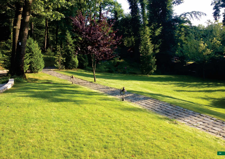 Pagina 35-Catalog peisagistica rezidentiala si comerciala ECO GARDEN CONSTRUCT Catalog, brosura Romana 