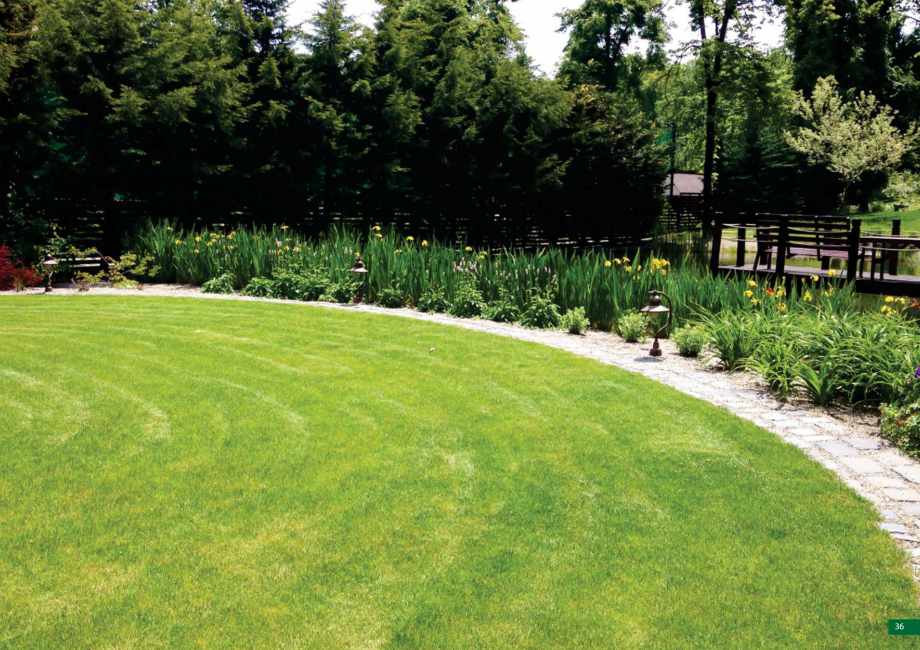 Pagina 37 - Catalog peisagistica rezidentiala si comerciala ECO GARDEN CONSTRUCT Catalog, brosura...