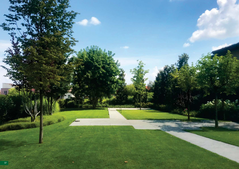 Pagina 38-Catalog peisagistica rezidentiala si comerciala ECO GARDEN CONSTRUCT Catalog, brosura Romana 