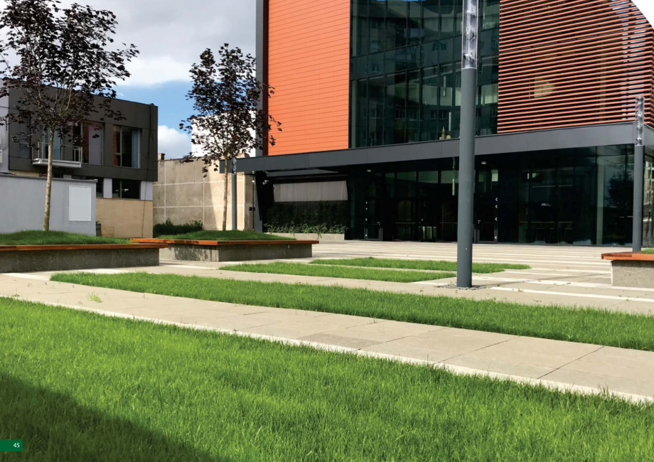 Pagina 46-Catalog peisagistica rezidentiala si comerciala ECO GARDEN CONSTRUCT Catalog, brosura Romana 