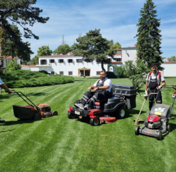 Intretinere gradini si spatii verzi comerciale ECO GARDEN CONSTRUCT