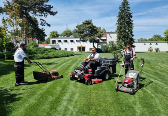 Intretinere gradini si spatii verzi comerciale ECO GARDEN CONSTRUCT