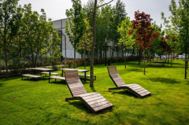Amenajari parcuri, gradini publice, proiecte de regenerare ECO GARDEN CONSTRUCT