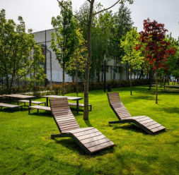 Amenajari parcuri, gradini publice, proiecte de regenerare ECO GARDEN CONSTRUCT