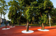 Plantare si toaletare arbori si arbusti ECO GARDEN CONSTRUCT