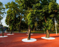 Plantare si toaletare arbori si arbusti Eco Garden Construct imbina profesionalismul si respectul fata de natura