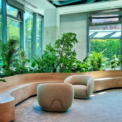 Amenajari spatii de birouri cu plante naturale Amenajari spatii de birouri cu plante naturale