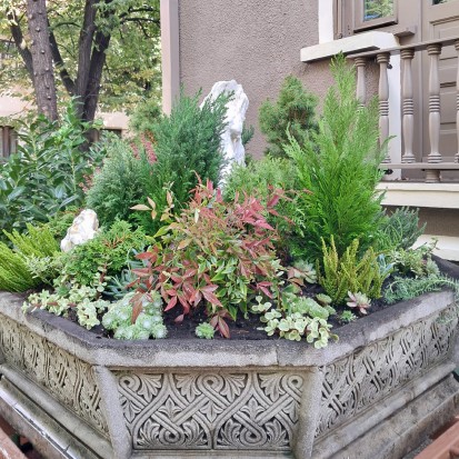 Amenajari spatii de birouri cu plante naturale Amenajari spatii de birouri cu plante naturale