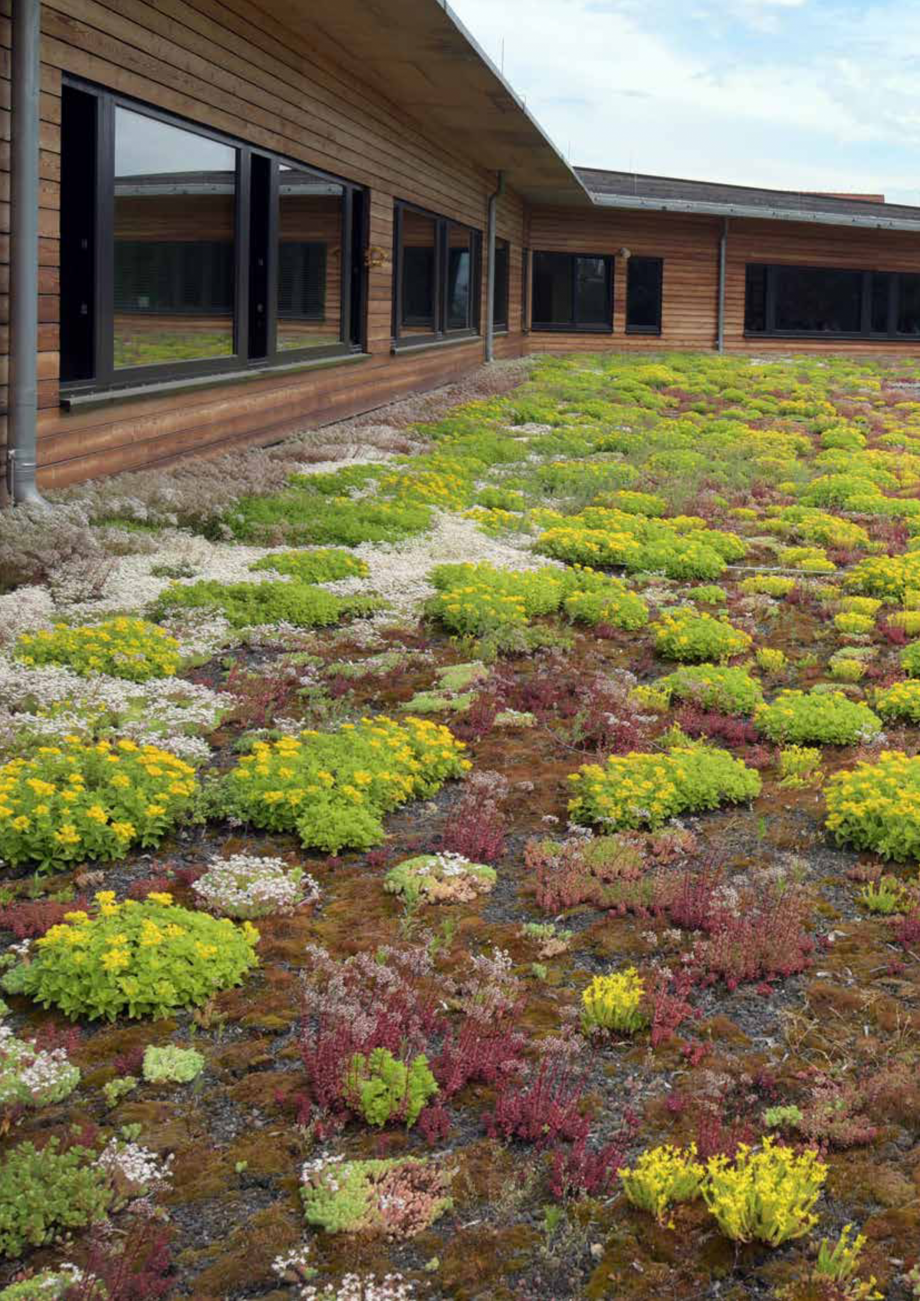 Pagina 36-Catalog sisteme de siguranta pentru acoperisuri GRUN Catalog, brosura Engleza, Germana...