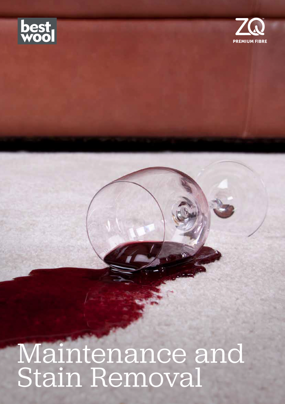 Pagina 1-Instructiuni de intretinere si curatare mocheta din lana BEST WOOL Pure New 2021, Elements...