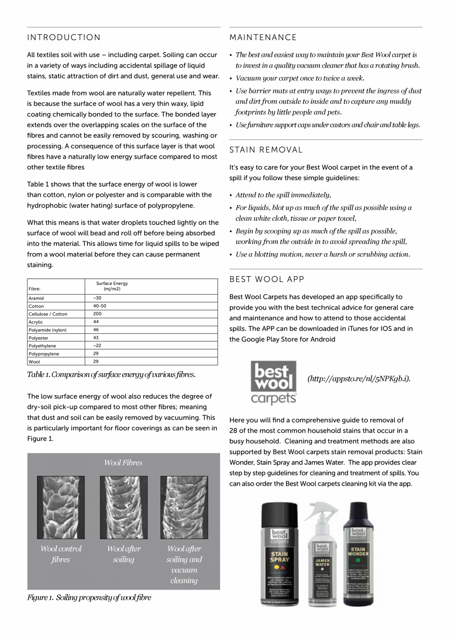 Pagina 2-Instructiuni de intretinere si curatare mocheta din lana BEST WOOL Pure New 2021, Elements...