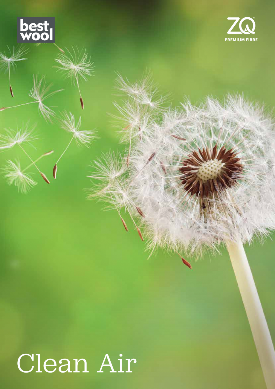 Pagina 1-Aer curat cu lana BEST WOOL Pure New 2021 Catalog, brosura Engleza PREMIUM FIBRE

Clean Air
...