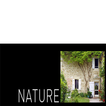 Colectia Nature Creation Wood - LVT Paletar pentru pardoseala PVC - amenajari de lux
