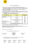 Declaratie de performanta - Petresti - Inel pentru camine D1040 H100 ELIS PAVAJE - elemente drepte