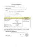 Declaratie de performanta - Petresti - Inel pentru camine D1040 H250 ELIS PAVAJE - elemente drepte