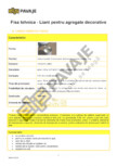 Liant pentru agregate decorative ELIS PAVAJE - 