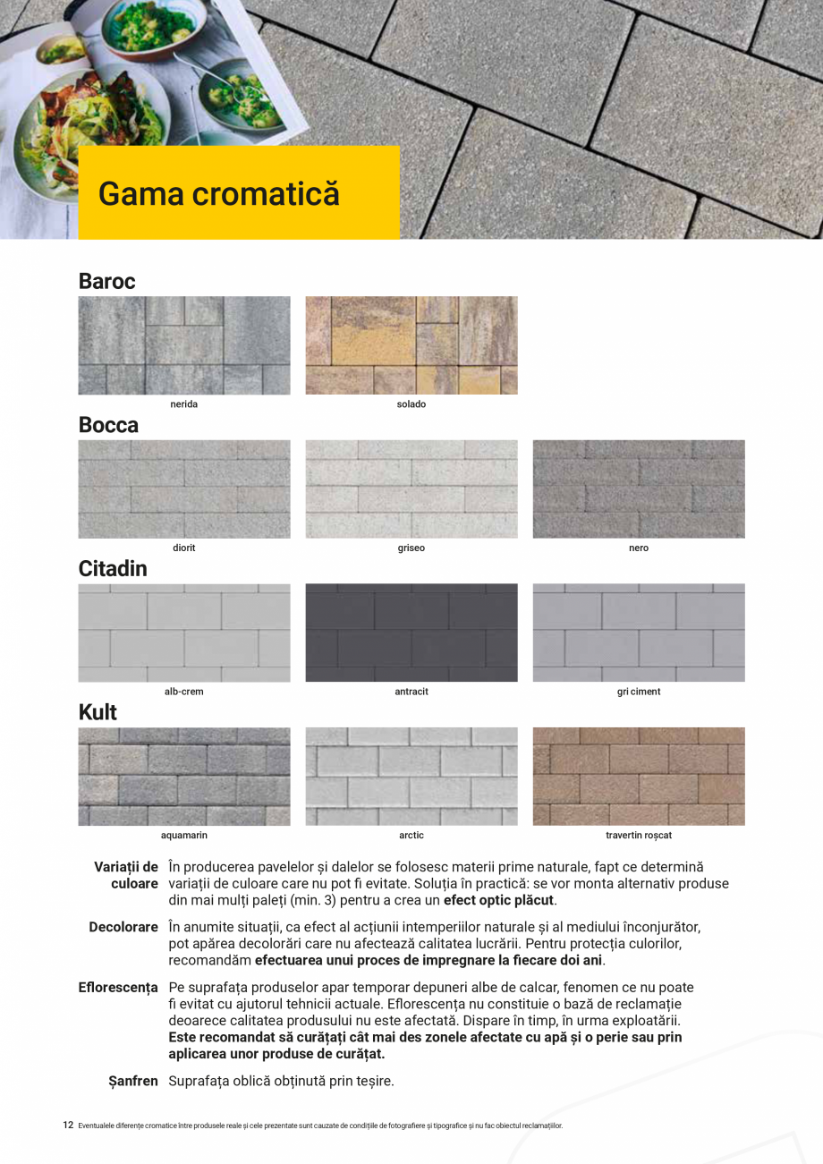 Pagina 12-Pavele si dale Premium Plus ELIS PAVAJE Catalog, brosura Romana 