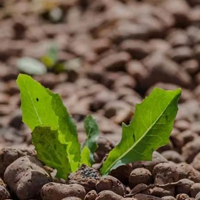 ELIS PAVAJE Argila expandata - Pavele si borduri din beton pentru pavaje exterioare ELIS PAVAJE