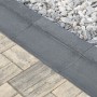 Vedere de aproape - Rigola scafa R10