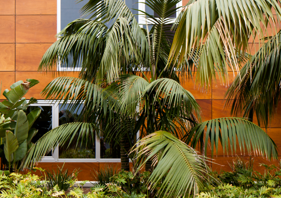 Pagina 7-Panouri HPL cu finisaj furnir pentru fatade PARKLEX PRODEMA PARKLEX PRODERMA Catalog, brosura...