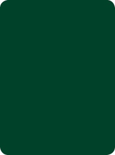 27 meg colours verde lauro 450 Culori color pentru placarea fatadelor si peretilor 