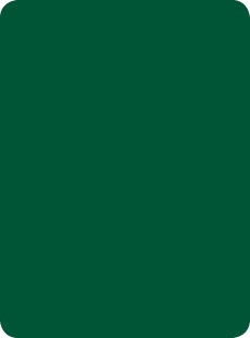 28 meg colours verde biliardo 440 Culori color pentru placarea fatadelor si peretilor 
