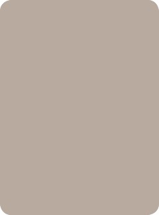 6 meg colours grigio alpaca 869 Culori standard pentru placarea fatadelor si peretilor