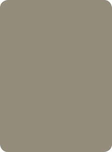 20 meg colours grigio medio 868 Culori standard pentru placarea fatadelor si peretilor