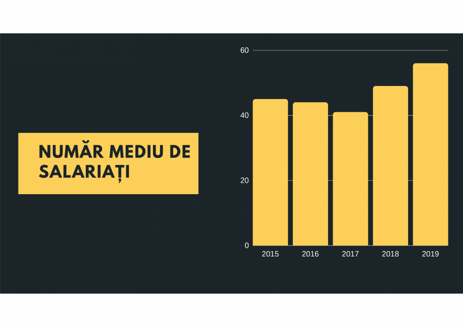 Pagina 11-Despre noi  Catalog, brosura Romana 