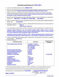Declaratie de performanta - Rasina epoxidica bi-componenta pentru lipiri structurale