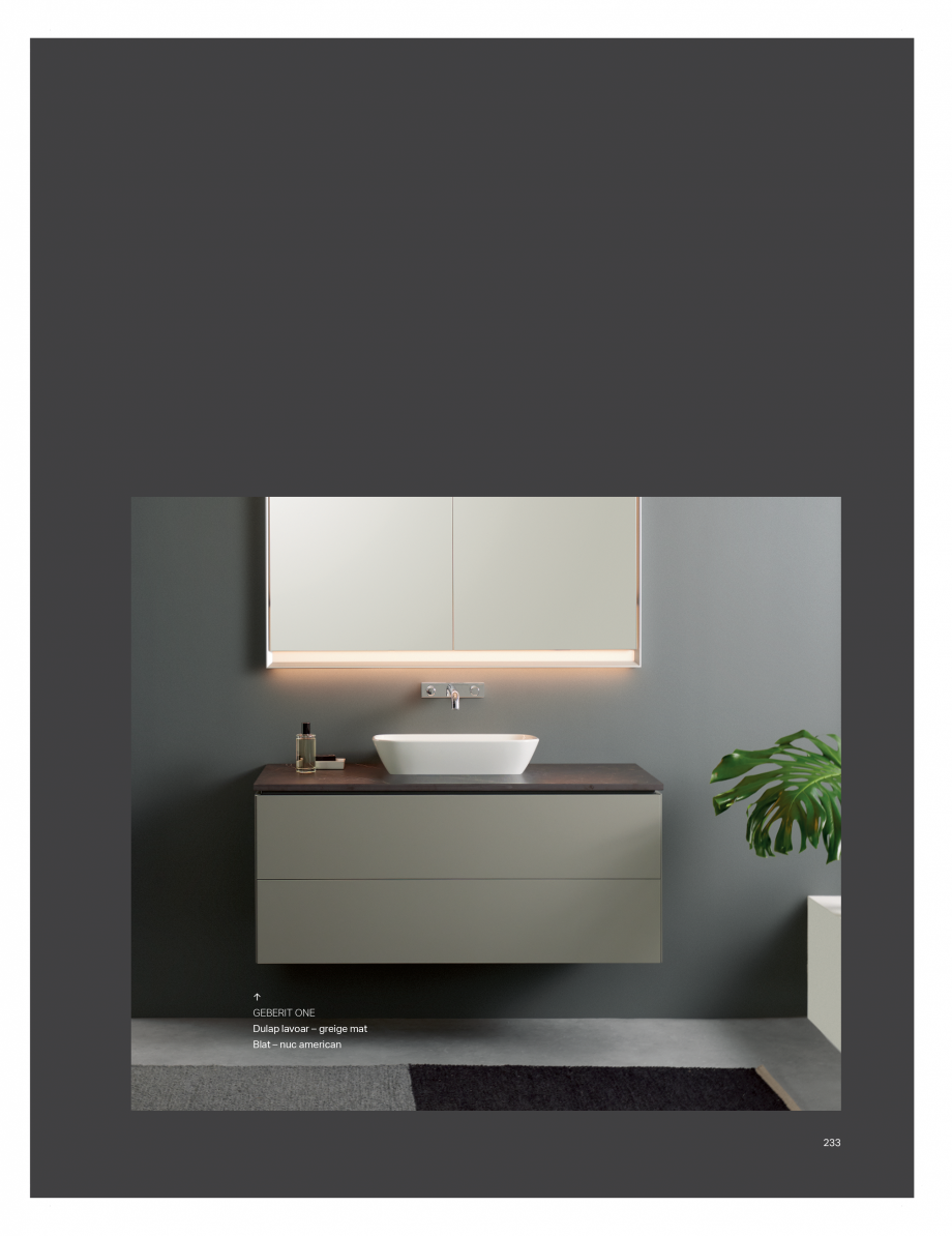 Pagina 229-Catalog GEBERIT - Colectii de baie - 2022  Catalog, brosura Romana 