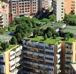Sistem complet de acoperis verde 