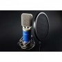 Microfon profesional condenser pentru studio