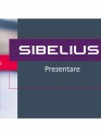 Prezentare geam cu vid