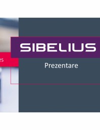 Prezentare geam cu vid