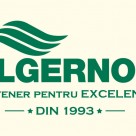 ALGERNON