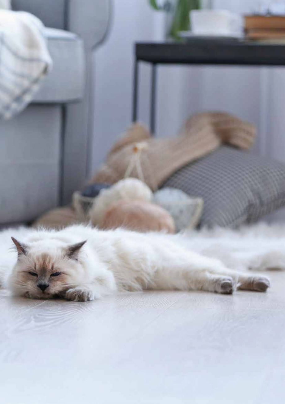 Pagina 39-Incalzire prin pardoseala NeoTer TeraPlast NEONUT20/1, Placa tacker, NEOPE-XA, NEOPE-RT, KIT DC...