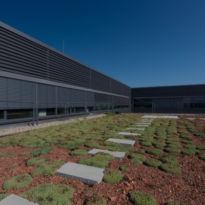 SIMACEK Facility Services RO Amenajare gradina Robert Bosch - Jucu - Sisteme de acoperisuri verzi ecologice