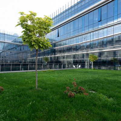 SIMACEK Facility Services RO Amenajare gradina TheOffice - Cluj - Sisteme de acoperisuri verzi ecologice